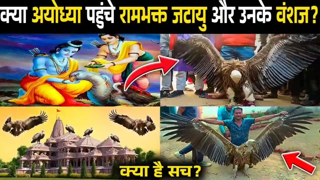 क्या है अयोध्या में आए विशाल पक्षी का सच? | Ayodhya Me Jatayu